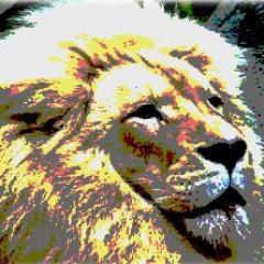 MeettheCrowd's profile picture. 