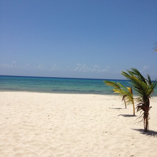 razorstylecut's profile picture. 