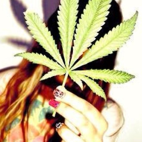 Two stoner girls livin the high life. ✨ #staylifted http://t.co/SB6GYZJq7o