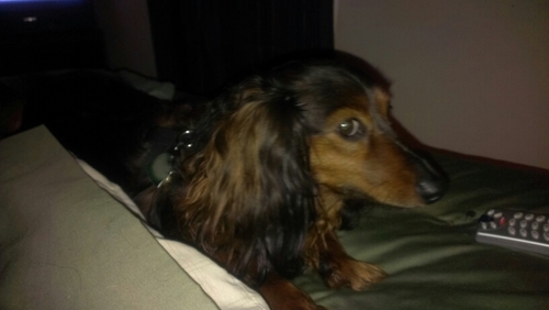 ACiandella's profile picture. 