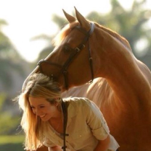 life_southern's profile picture. *A Southern Life is the only way to go. Down here we got the good Lord, those summer nights you dream about and those sweet southern boys.