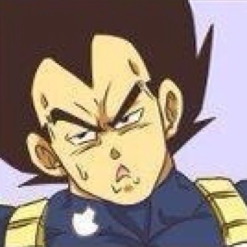 Prince if all Saiyans. Pride. Power. Fight. Don't stop untill your victory. Get beat down, get back up. Show your honor. Win. Earn respect. (RP/Parody)