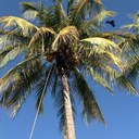 Roberto Mujica - @RobertoMujica7 - Twitter