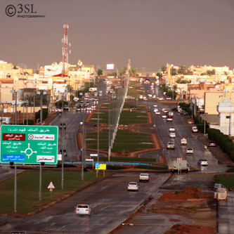 alim14221's profile picture. 