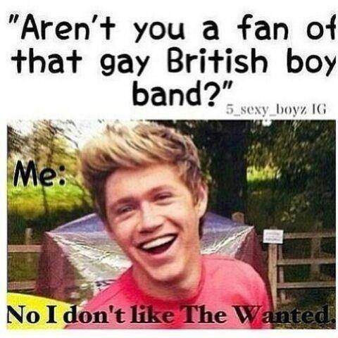 *̩ love nialler, *̩ love hazza, *̩ love leeyum, *̩ love boobear, and *̩ love this AmaZAyn boy called Zayn♥♥♬