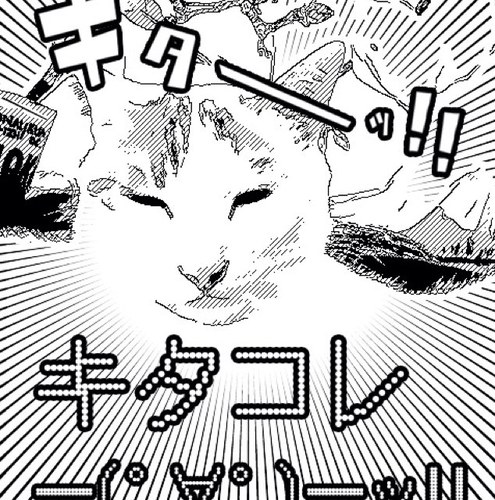 わんことにゃんことネイルが好き 2013年５月JNECネイリスト技能検定１級取得までストレート合格、２０１３年度１２月のジェル上級検定合格。エアジェルエデュケーター取得。色々アート講習参加でスキルアップ目指してます