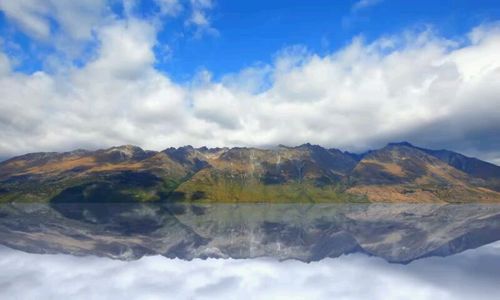 401suite's profile picture. 