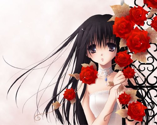 Im a true directioner. I dance at Visions Dacne Acadamey, im 14 years old nd i live in America