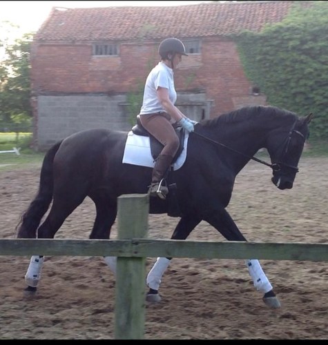 Bootsy1207's profile picture. HR Professional