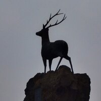 nojinpark (@nojin57) 's Twitter Profile