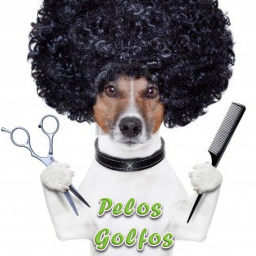 PelosGolfos's profile picture. Peluquería canina (también a domicilio)
Paseadora de perros, canguro por horas y Residencia canina y
Cuidados externos