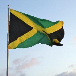 tryojen's profile picture. Co-gérante Aloha Evasion