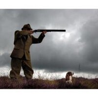 Kyle Hogg (@kylehogg2) 's Twitter Profile