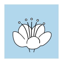 deborahubeetrustさんのプロフィール画像
