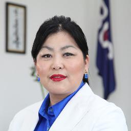 AN iin UZH gishuun,NIH Toloologch, Avtobusneg kompanii zahiral,Huulich.