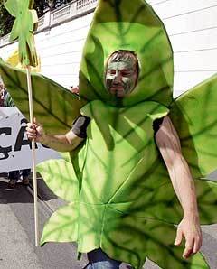 ImCannabis_'s profile picture. Legalización, ese es el camino. Vuelo con la ganjah! High times, #ruta420