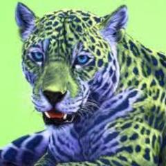 jaguar_george's profile picture. 