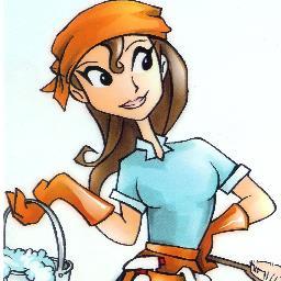 From top to bottom cleaning - Spring cleaning-Carpet cleaning - Window cleaning - Commercial cleaning - End of tenancy cleaning  
07779540331