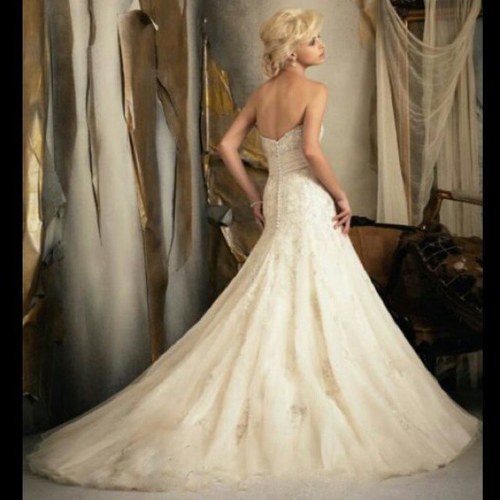 A3rascom1's profile picture. 