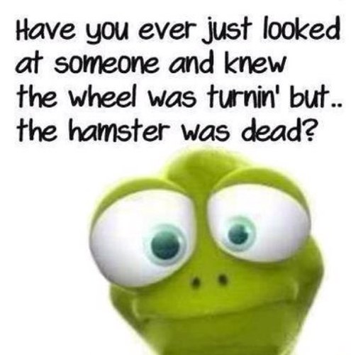 Skyebee081's profile picture. Interested in politics, frustrated by stupidity. An oxymoron i know, given the current state of play.