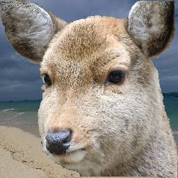鹿じゃなくて人間ですねん