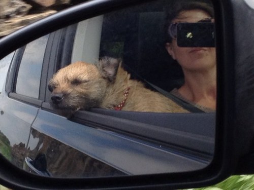 paulanorth's profile picture. 