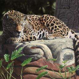 steveswildart's profile picture. Original Wildlife oil paintings, limited edition prints, Photography, Devon resident and Culm Valley Inn regular.