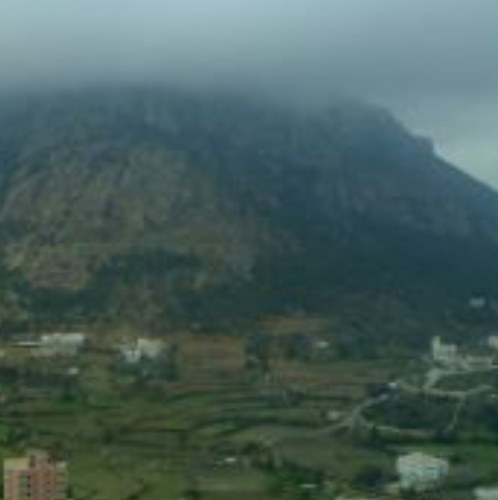 Alienad7's profile picture. 