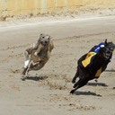 darren arnott - @arnott_darren - Twitter