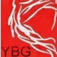 YBG(@YakupBG) 's Twitter Profile Photo
