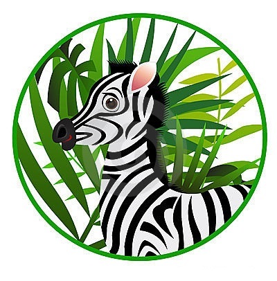 I love zebras because they are smart, curious, empathetic, patient, gentle & adorably cute!