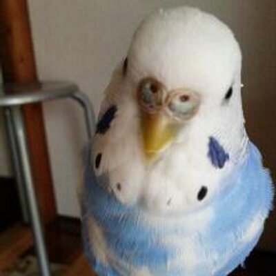 K T お豆腐メンタル 浮き沈みかなり激しいです Rishimame Twitter K T お豆腐メンタル 浮き沈みかなり激しいです Rishimame Twitter