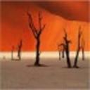 Paul Schweizer - @mirracleoracle - Twitter