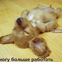 Tim Bingham - @Scorporilla - Twitter