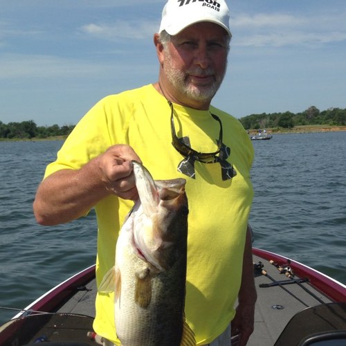 George62989247's profile picture. 