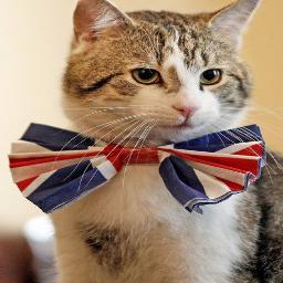 Yokartik15's profile picture. bu sahis bazen kendini televizyon sunny...