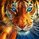 Robin Corson - @robincorson08 - Twitter