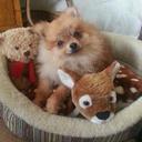 Stuart francis - @stuart_francis_ - Twitter