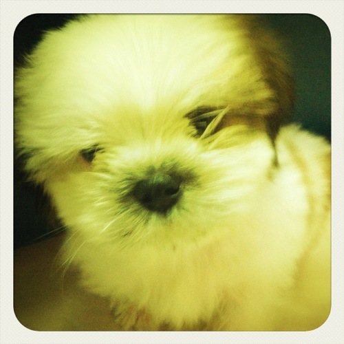 NSarabun's profile picture. 