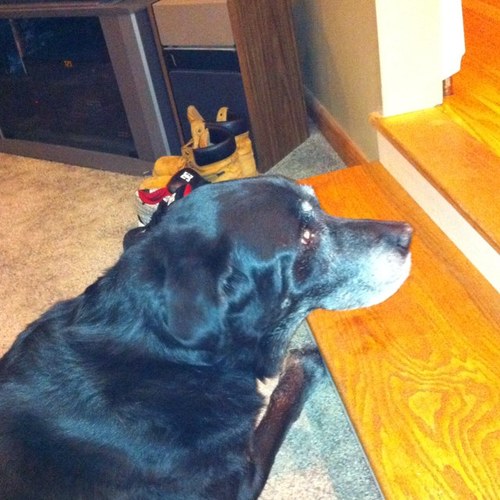 teeze77's profile picture. 