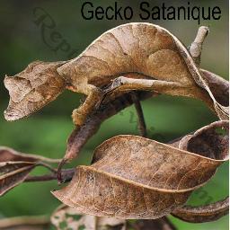 Sourceline's profile picture. 