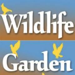 Wildlife Gardens are Beautiful! Passionate team exploring the beauty of nature and wildlife in our gardens. Will follow from @CB4wildlife