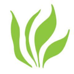 Menyediakan produk perawatan kecantikan & kesehatan berbahan alami serta berbagi tips terkait. FB: http://t.co/jrGBNqXGlz. SMS only 085646139813