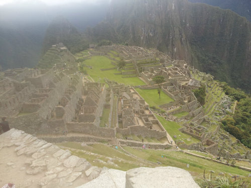 jhosselin2's profile picture. Hincha del caracas FC.. Leones del caracas.. Cocodrilos de caracas..!