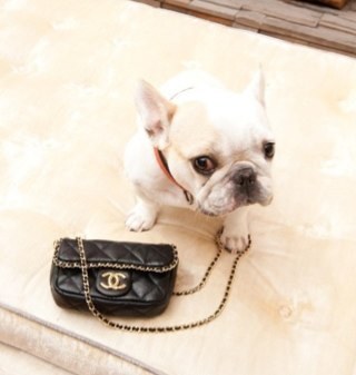 1AEVT's profile picture. 