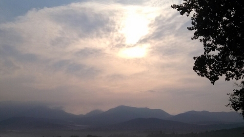 lpolyathletes's profile picture. 