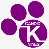 Candid K Nines(@candidknines) 's Twitter Profile Photo