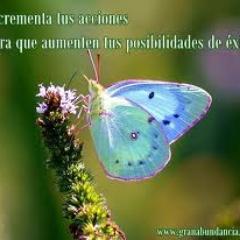 amo la vida!!!!