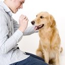 Chris Dig - @DogTrainingx - Twitter