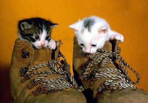 Mencintaimu sama halnya mencintai diriku sendiri. Sekecil perubahaan yang terjadi aku akan tahu.